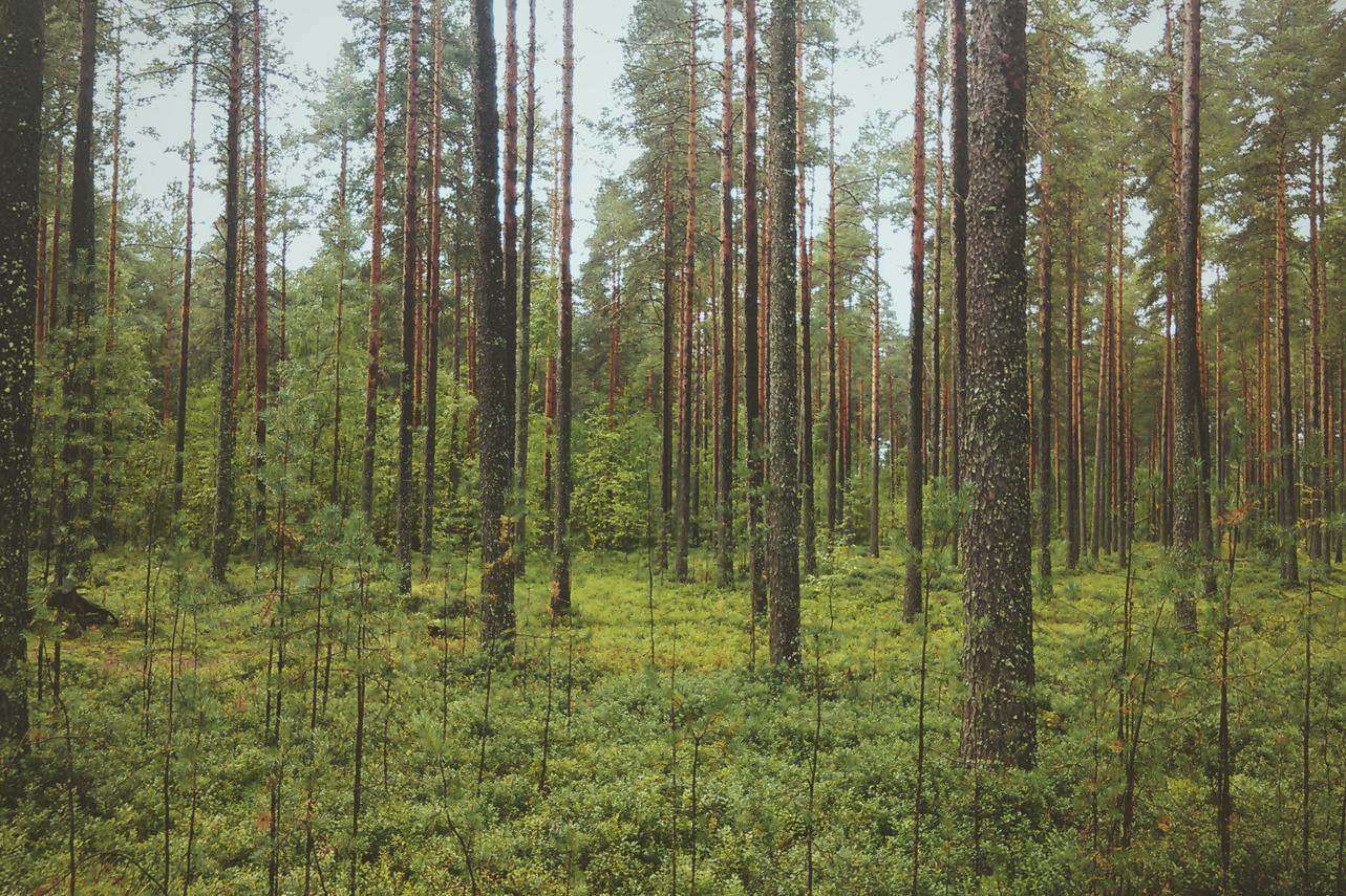 Eum facere ut eum alias assumenda